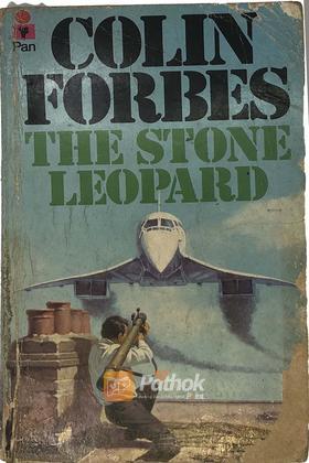 The Stone Leopard