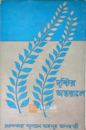 দৃষ্টির অন্তরালে