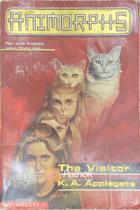 The Visitor