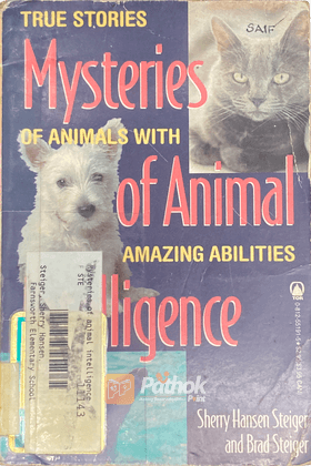 Mysteries Of Animals Inteligence