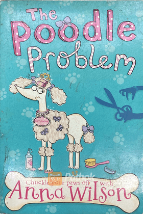 The poodle Problem