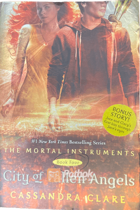 City of Fallen Angels (Mortal Instruments Series: Book iv)