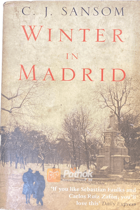 Winter in Madrid