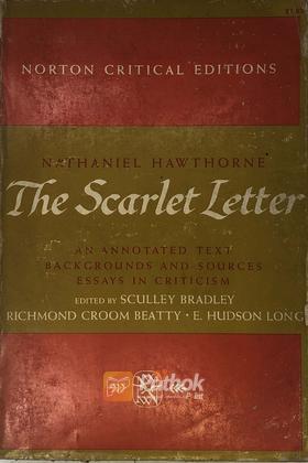 The Scarlet Letter (Critical Editions)