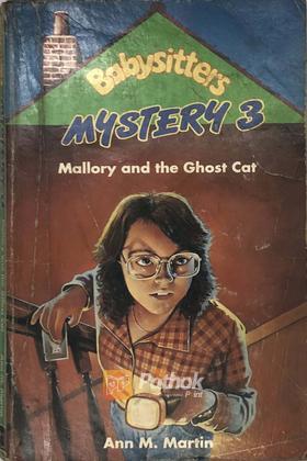 Babysitters Mystery3