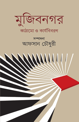 মুজিবনগর : কাঠামাে ও কার্যবিবরণ