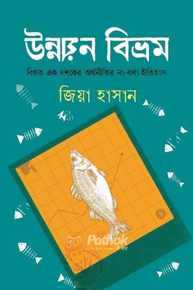 উন্নয়ন বিভ্রম
