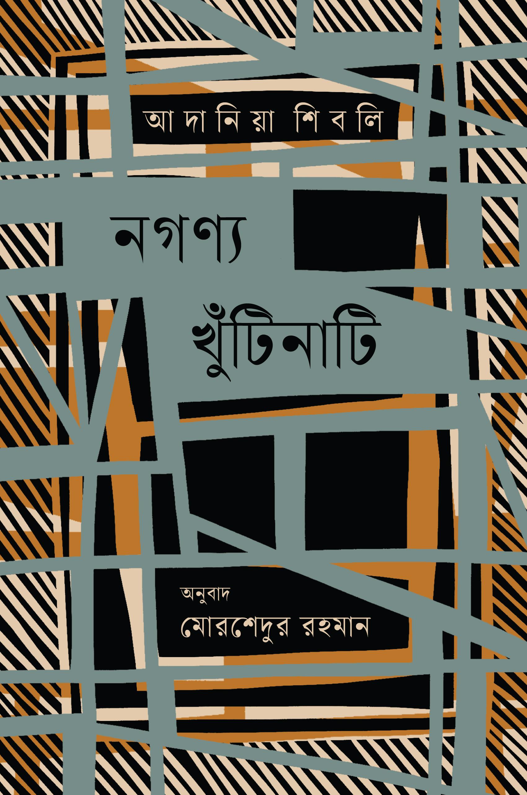 নগণ্য খুঁটিনাটি