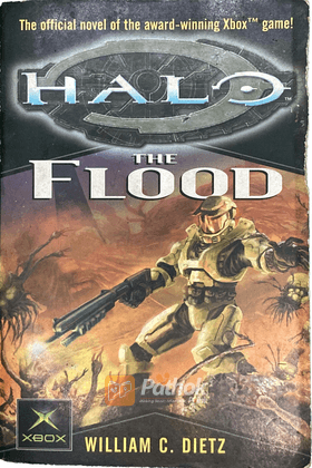 The Flood