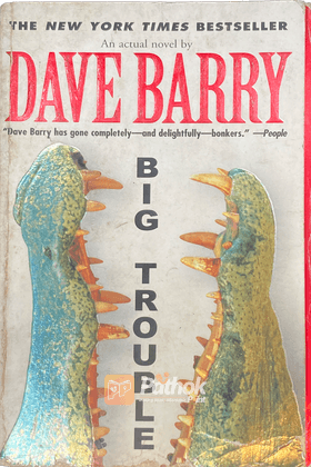 Big Trouble