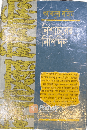 নিশাচরের নিশিদিন