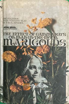 The Effect of Gamma Rays on Man-In-The-Moon