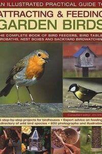 Attracting & Feeding Garden Birds (Original) (NEW)