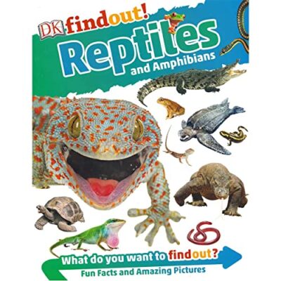 Dk Findout Reptiles