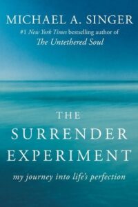 The Surrender Experiment (Original) (NEW)