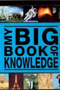 My Big Book Of Knowledge Wilco (Original) (NEW)