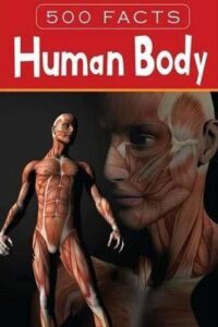 Human Body (Original) (NEW)