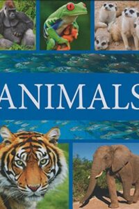 Animals (Original) (NEW)