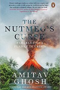 The Nutmegs Curse (Original) (NEW)