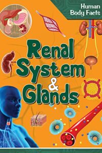 Renal System And Glands (Original) (NEW)