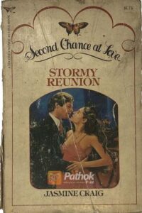 Stormy Reunion(Original) (OLD)